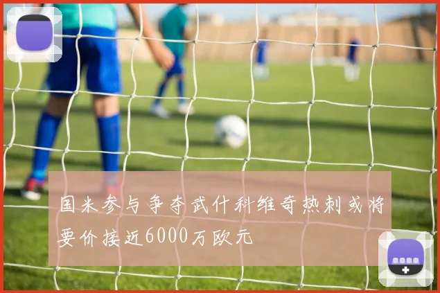 国米参与争夺武什科维奇热刺或将要价接近6000万欧元